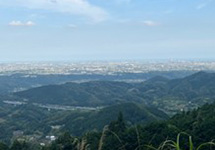 都田